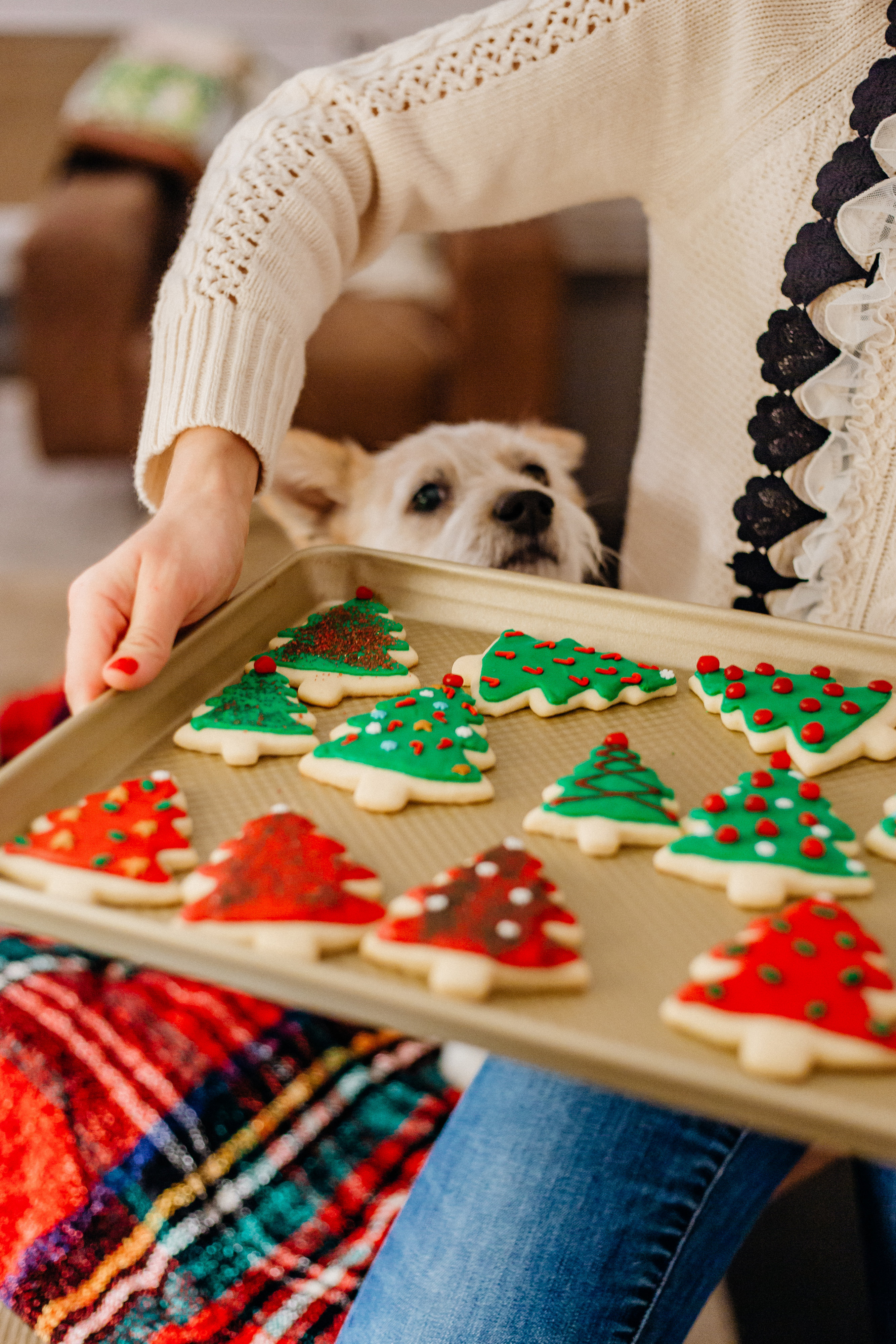 Sugar Cookies