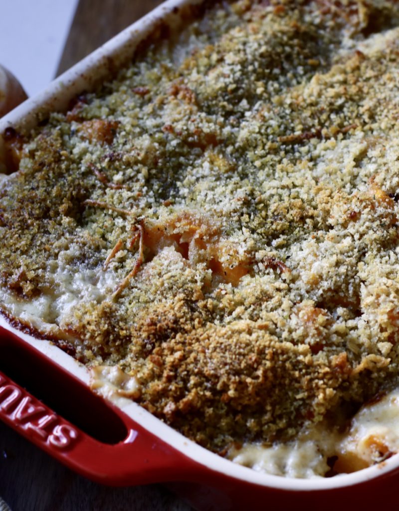 Butternut Squash Gratin Recipe