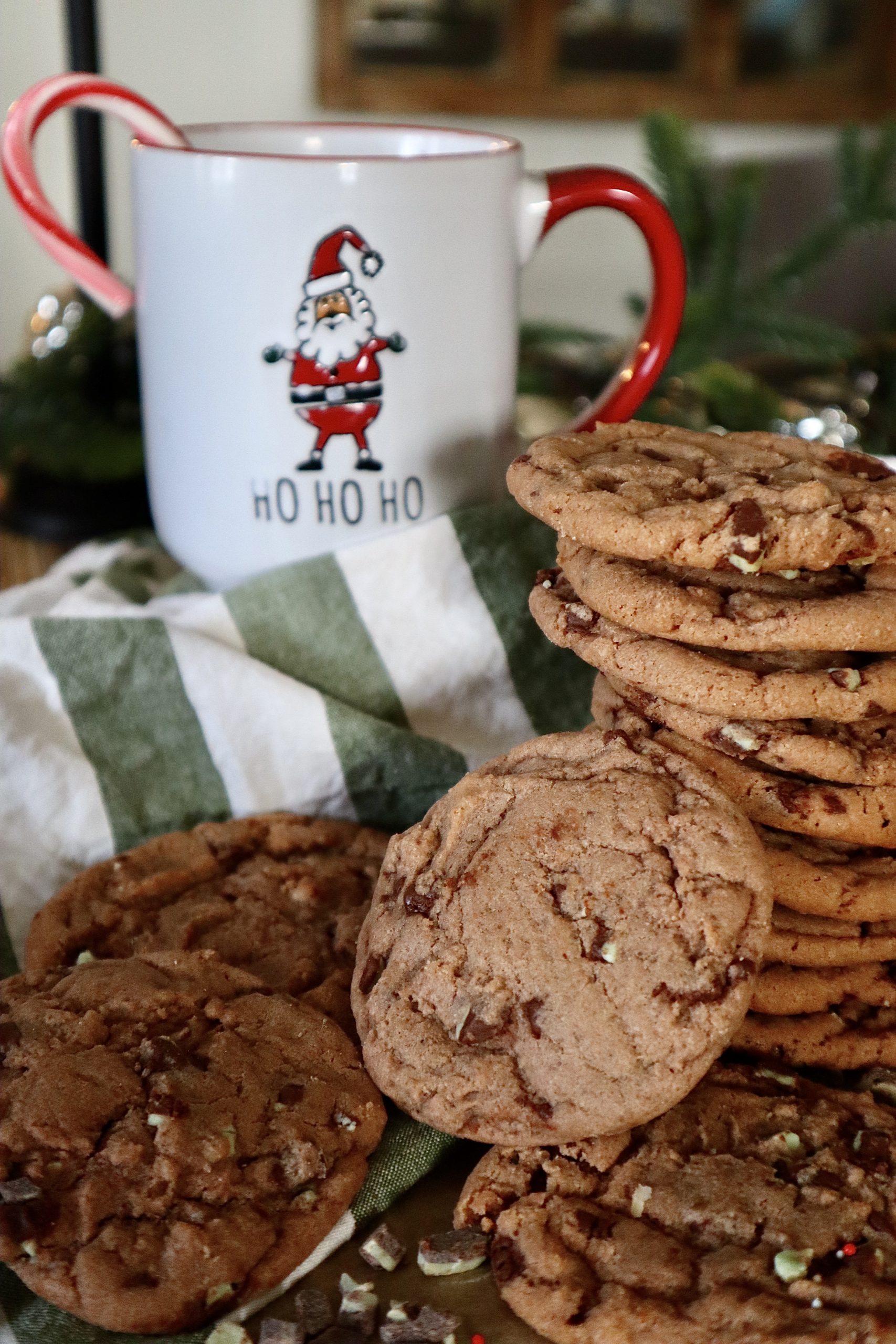 hot chocolate mint cookies