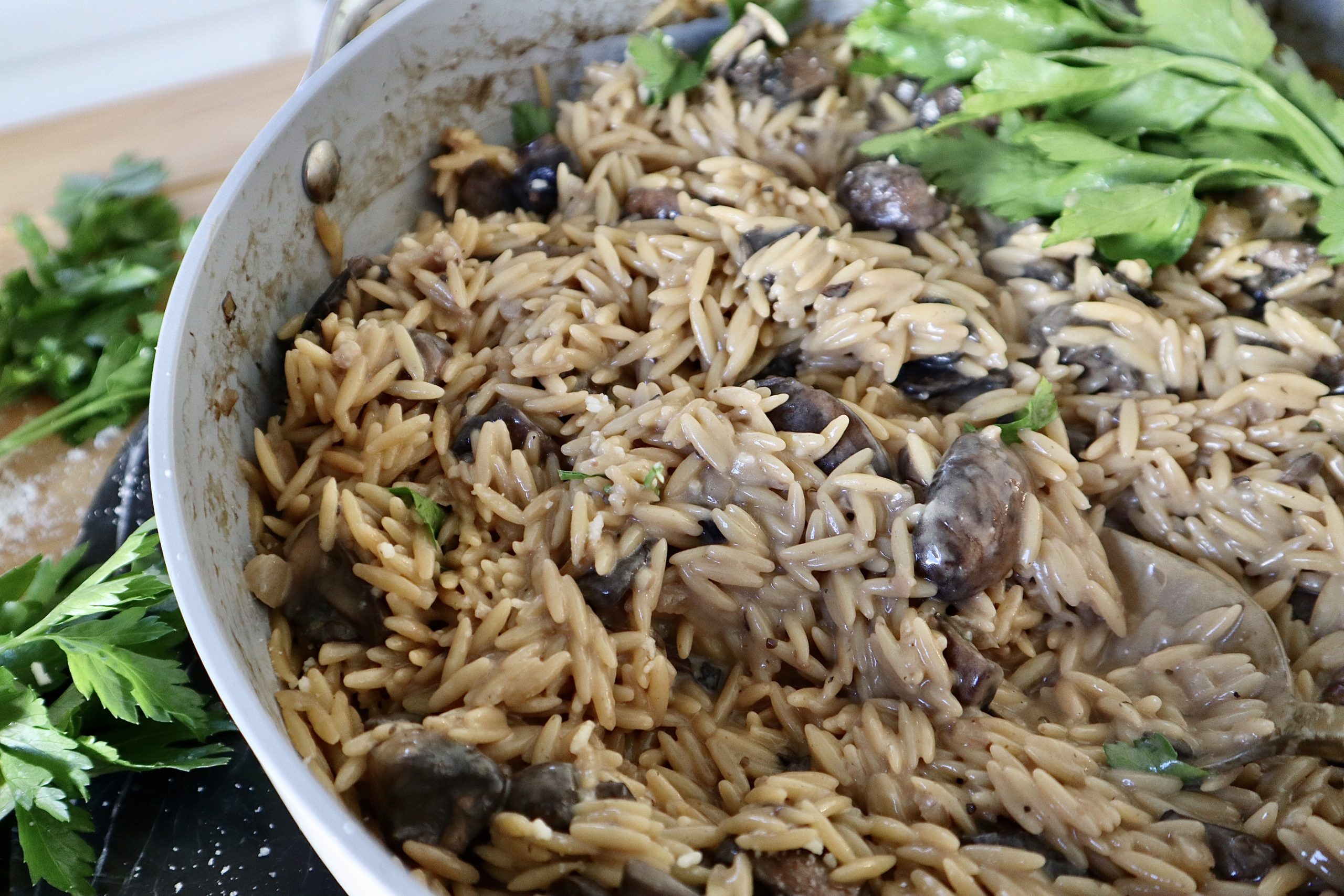 Creamy Garlic Mushroom Orzo Pasta