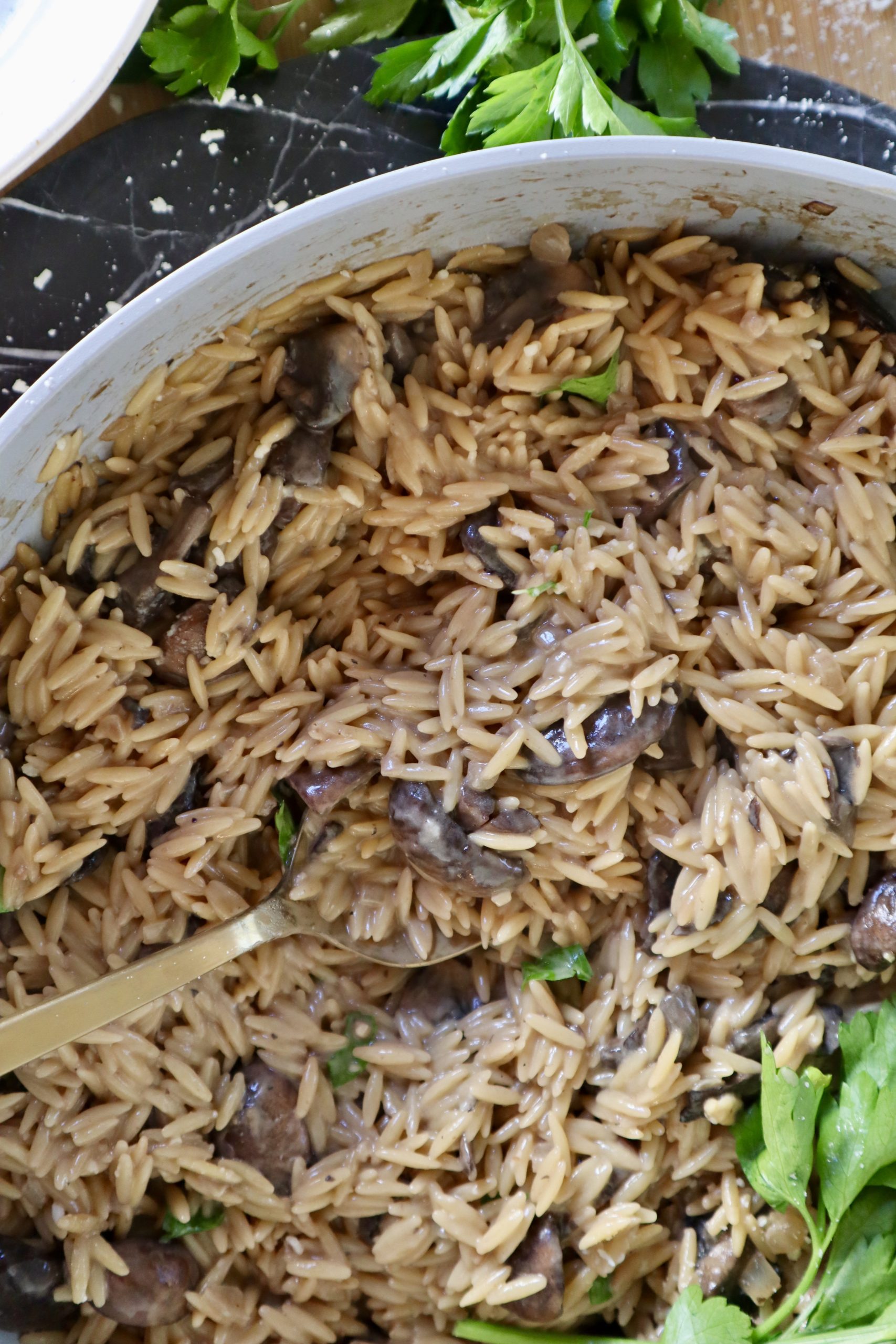 Creamy Garlic Mushroom Orzo Pasta